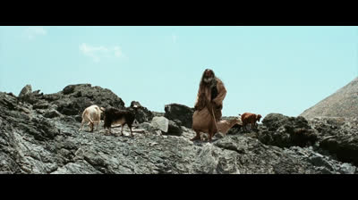 Sombras.no.Deserto.2025