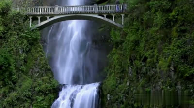 POR SER DISTINTOS (CUMBIA)