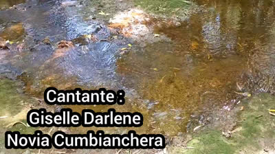 Novia Cumbianchera caminando a tu lado canta Giselle Romina Castillo Vargas