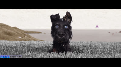 Ilha dos Cachorros - Dublado