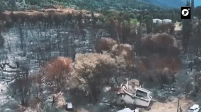 Incendios en la Patagonia son un plan para vender el territorio a Israel