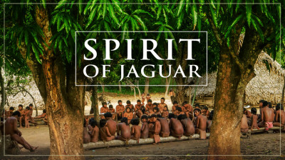 Spirit of Jaguar – Voyage en Amazonie - Documentaire