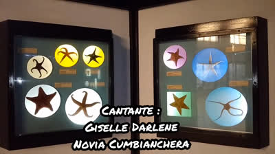 Novia Cumbianchera Bombeame canta Giselle Romina Castillo Vargas