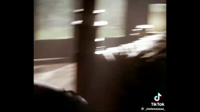 Stelena