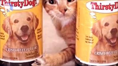 Departamentos de Guatemala = Un video del canal secundario de RetroVlogs cada departamento (PARTE 4 DE 4)