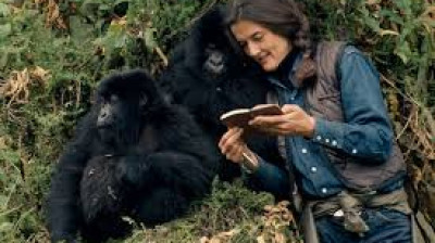 Dian Fossey, la femme-gorille