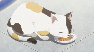 Kakkou no Iinazuke temporada 2 EP 01