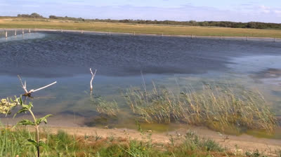 Parc ornithologique de Marquenterre
