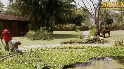 Sítio do Picapau Amarelo _ O Saci • 5° Episódio