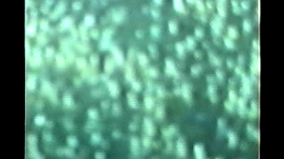 PROTOCOLO NÃO_PENSE FILME EXPERIMENTAL