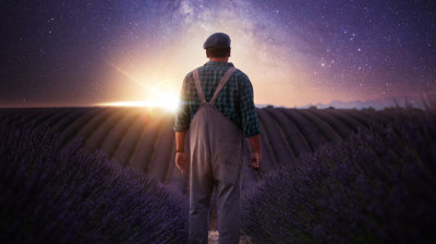 Valensole 1965  ovni dans les lavandes