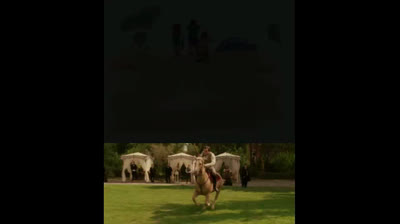 The legend of zorro 2 Caillou and rosie