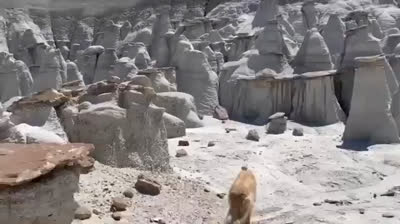 Mystères Inexpliqués