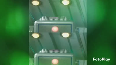 Teletubbies casper kat and chickens friends