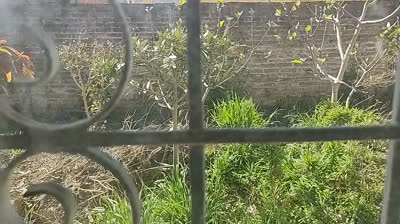 Son FEMINISTAS pero están desesperadas por un HOMBRE TRADICIONAL