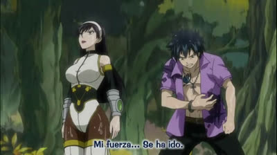FAIRY TAIL - TEMPORADA 1 - CAPITULO 114 - SUB ESPAÑOL