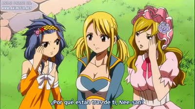 FAIRY TAIL - TEMPORADA 1 - CAPITULO 130 - SUB ESPAÑOL