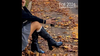 PsyKo ProjecT - Fall 2026