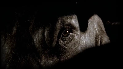 American horror history 3x3