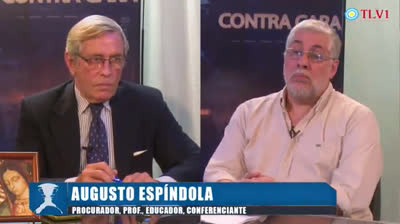 Contracara N 11 - Del Mundo Feliz y 1984 a Palantines