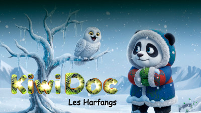 Kiwi Doc - Les Harfangs | Dessin animé éducatif pour enfants | Épisode 9