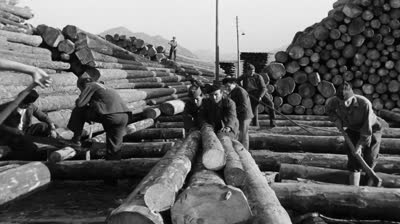 la Vache et le prisonnier