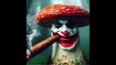 Alfredo el oso setsoso la película