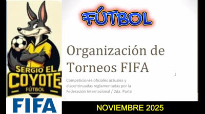 TORNEOS DE FUTBOL ORGANIZADO POR FIFA, resumen