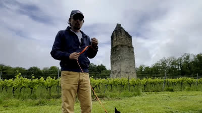 A toute berzingue : Marennes Oléron