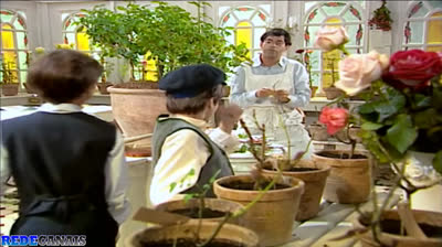 Alma Gêmea CAPITULO 3 COMPLETO