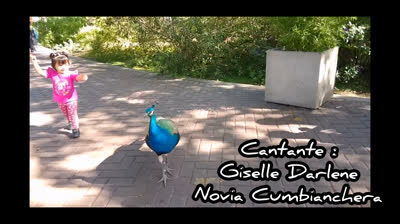 Novia Cumbianchera Con los ojos del amor canta Giselle﻿ Romina Castillo Vargas