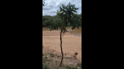 Interior de Minas gerais