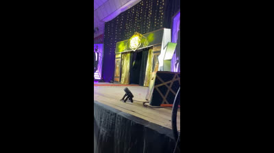 diciembre 2024 club velez