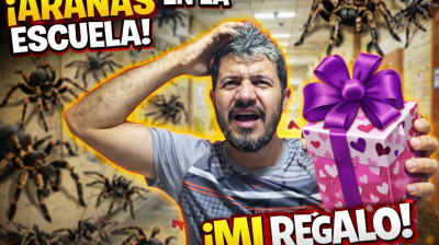 Entre arañas y regalos, vivimos el día a día los docentes