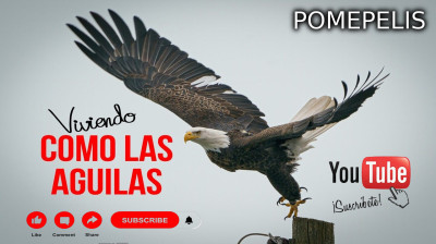 COMO LAS ÁGUILAS-LETRAS DE ALABANZAS