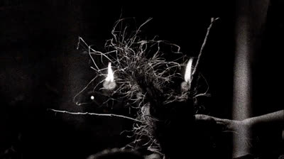 American Horror Story - Coven - S03E09