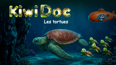 Kiwi Doc - Les Tortues | Dessin animé éducatif pour enfants | Épisode 11