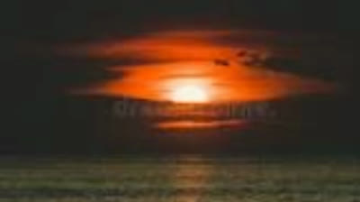 EL CREPUSCULO DEL PLACER (CUMBIA)