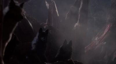 1984 - FILME THE COMPANY OF WOLVES OU A COMPANHIA DOS LOBOS (LEGENDADO)