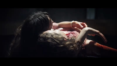 Mártires 2015 Dublado Logan␥