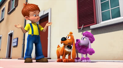 5 chiens à la maison