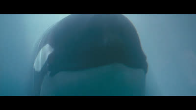 Free Willy - 1993